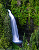 Martha Falls, Mt Rainier National Park, Washington (4x5)